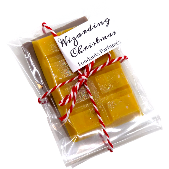 WIZARDING CHRISTMAS - fondants parfumés DUO