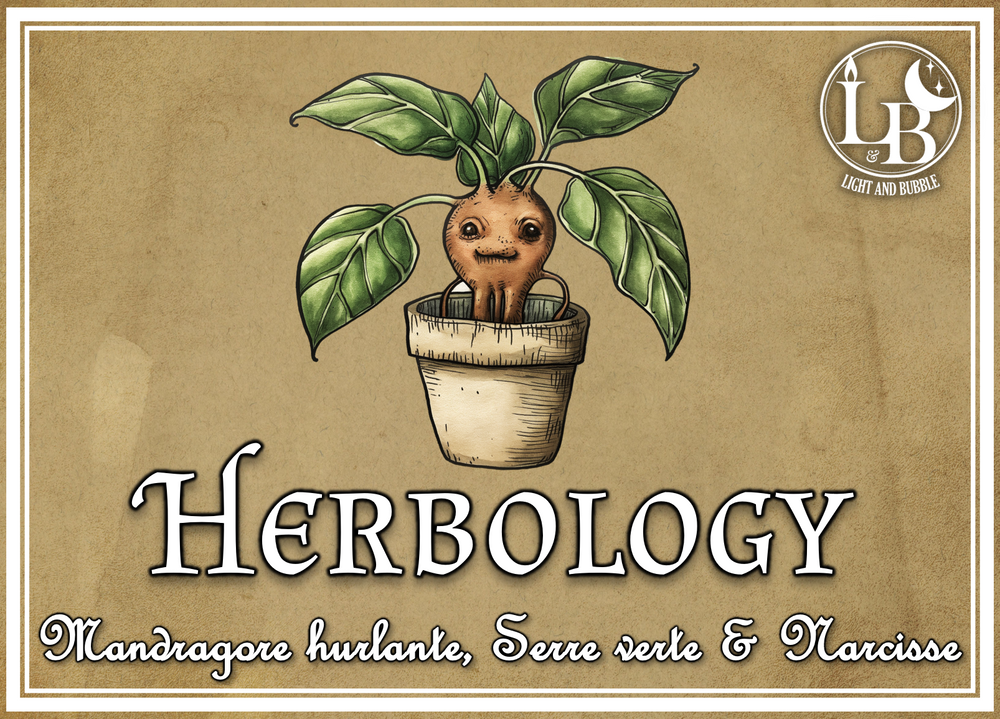 HERBOLOGY - candle