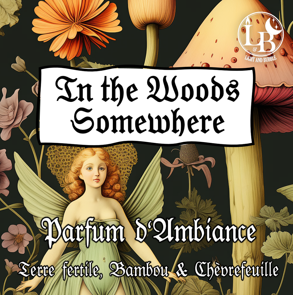 IN THE WOODS SOMEWHERE - parfum d'ambiance