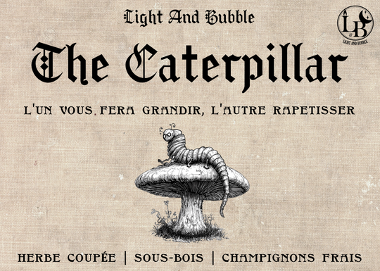 THE CATERPILLAR - candle